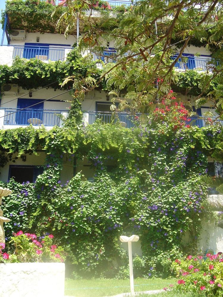 Amazona Aparthotel Ajía Pelajía Kültér fotó